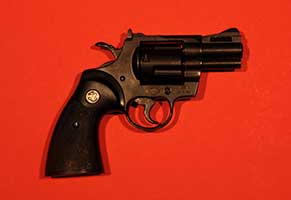 Python Revolver