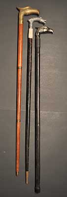 Walking Canes