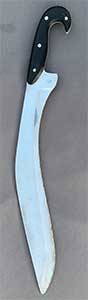 Plain Falcata